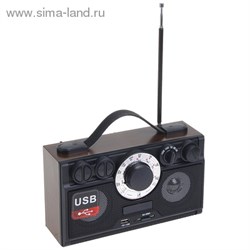 Радиоприемник БЗРП РП-304, 220Вт, USB, SD, стереозвук 1106210 - фото 6933