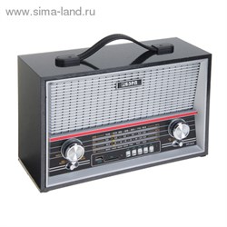 Радиоприемник БЗРП РП-313, 220Вт, USB, SD, стереозвук   1106213 - фото 6937