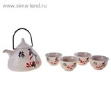 Набор для чайной церемонии 5 предметов "Напевы" (чайник 700 мл, чашка 70 мл)