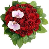 Розы, Орхидея Фаленопсис, Зелень, Упаковка