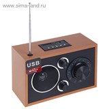 Радиоприемник БЗРП РП-301, 220Вт, USB, SD 1106209