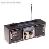 Радиоприемник БЗРП РП-308, 220Вт, USB, SD, стереозвук 1144560