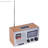 Радиоприемник БЗРП РП-309, 220Вт, USB, SD, 1106212