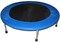 Батут для дома и улицы 95 см - фото 18233