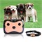 Ошейник с GPS-трекером для кошек и собак Smart Pet Tracker - фото 28409