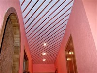 Панелит