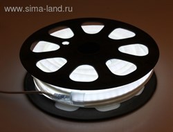 Гибкий неон, 12*24мм, 10 м, LED/м-80-220V, БЕЛЫЙ - фото 13830
