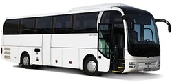 MAN Lion´s Coach R07 - фото 5245
