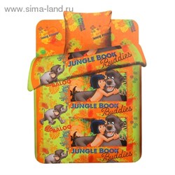 КПБ 1,5сп Василек Disney  4450/1 Маугли и Балу 150*215см, 145*215см, 70*70см 1шт, хл     1118856 - фото 7944