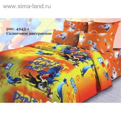 КПБ 1,5сп РИО 4243/1 Солнечное настроение 150*215см, 145*215см, 70*70см 1шт, хл  1003403 - фото 7946
