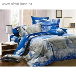КПБ 1,5сп Чарующая ночь рисSA310 150*220см, 145*215см, 70*70см 2шт, поплин   884859 - фото 7968