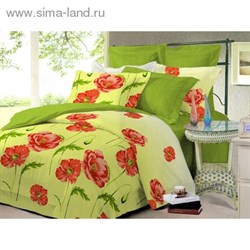 КПБ 1,5сп Чарующая ночь рисt101208aa 150*220см, 145*215см, 70*70см 2шт, поплин   884860 - фото 7969