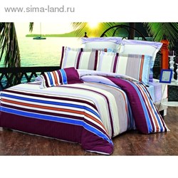 КПБ 2сп Чарующая ночь рисjk895 180*220см, 175*215см, 70*70см 2шт, поплин   1076053 - фото 7971
