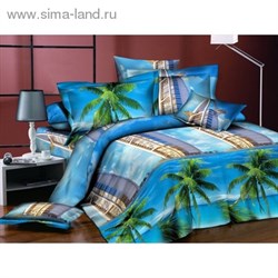 КПБ 2сп Чарующая ночь рисSA346 180*220см, 175*215см, 70*70см 2шт, поплин   1076063 - фото 7972