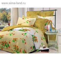 КПБ евро Чарующая ночь рисc91412aa 220*240см, 200*220см, 70*70см 2шт, поплин   1076075 - фото 7974