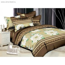 КПБ евро Чарующая ночь рисh112095aa 220*240см, 200*220см, 70*70см 2шт, поплин   1076076 - фото 7975