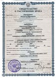 Перевод свидетельство о расторжении брака (простой)
