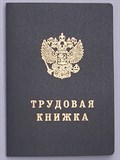 Перевод  трудовой  книжки (простой)