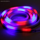 Гибкий неон, 12*24мм, 5 м, LED/м-80-220V, 7 цветов, МУЛЬТИ