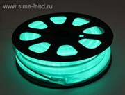 Гибкий неон, 12*24мм, 10 м, LED/м-80-220V, ЗЕЛЕНЫЙ
