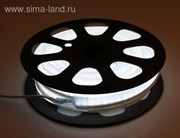 Гибкий неон, 12*24мм, 10 м, LED/м-80-220V, БЕЛЫЙ