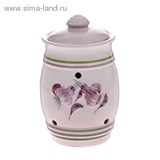 Банка для хранения чеснока 3л