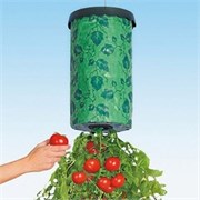 Приспособление для выращивания культур "Плантация" (Tomato planter)