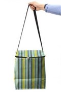 Сумка изотермическая 25л (cooler bag 25L)