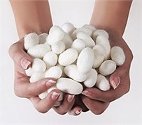 Коконы для очищения кожи Silky