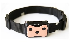Ошейник с GPS-трекером для кошек и собак Smart Pet Tracker Ошейник с GPS-трекером для кошек и собак Smart Pet Tracker