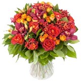 Роза, Орхидея, Роза кустовая, Альстромерия, Илекс, Упаковка