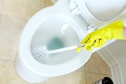 Чистка сантехники унитаз