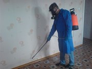 Уничтожение тараканов 2 комнатная