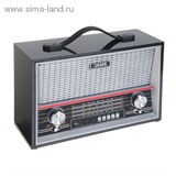 Радиоприемник БЗРП РП-313, 220Вт, USB, SD, стереозвук   1106213
