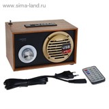 Радиоприемник БЗРП РП-316, 220Вт, 2 динамика, расширенный УКВ, USB, SD   1163465