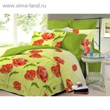 КПБ 1,5сп Чарующая ночь рисt101208aa 150*220см, 145*215см, 70*70см 2шт, поплин   884860