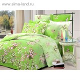 КПБ 2сп Чарующая ночь рисh101213aa 180*220см, 175*215см, 70*70см 2шт, поплин   1076048