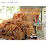 КПБ 2сп Чарующая ночь рисs22204aa 160*200см на рез., 215*175см, 70*70см 2шт, поплин   877307