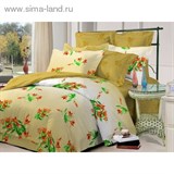 КПБ евро Чарующая ночь рисc91412aa 220*240см, 200*220см, 70*70см 2шт, поплин   1076075
